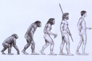 popular-evolution-chart